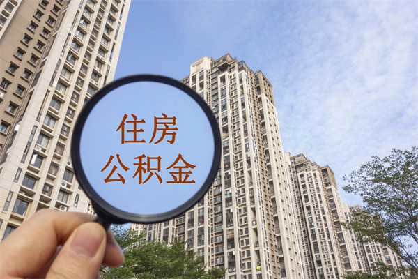 沧县辞职了公积金怎么样才能取出来（辞职了住房公积金怎么全部取出来）